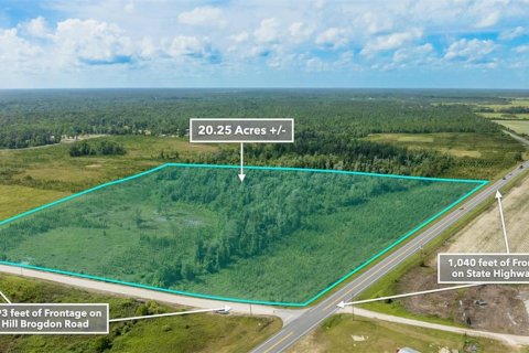 Terreno en venta en Wewahitchka, Florida № 1255564 - foto 2