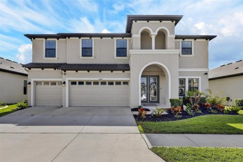 House in Fish Hawk, Florida 5 bedrooms, 335.84 sq.m. № 2239734