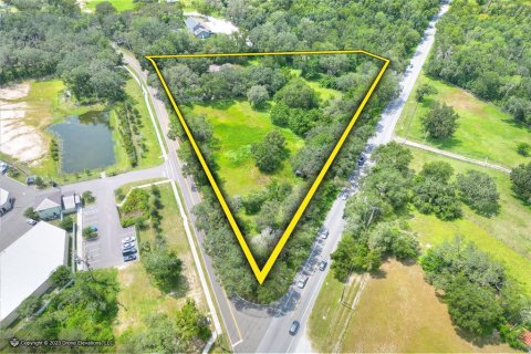 Land in Fish Hawk, Florida № 2235671 - photo 3