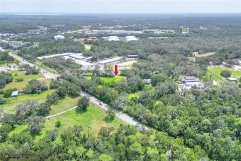 Land in Fish Hawk, Florida № 2235671 - photo 5