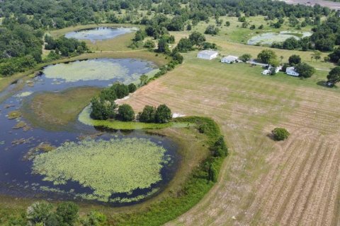 Купить виллу или дом в Хоуи-ин-Хиллз, Флорида 5 комнат, 260.13м2, № 1851740 - фото 9