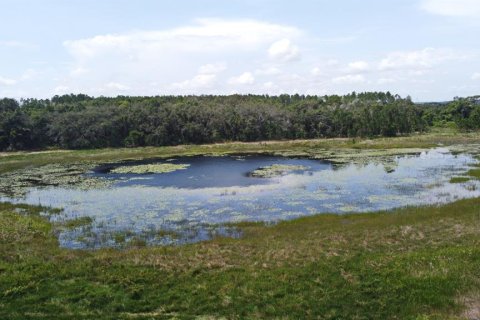 Купить виллу или дом в Хоуи-ин-Хиллз, Флорида 5 комнат, 260.13м2, № 1851740 - фото 10