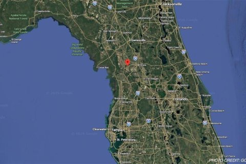 Land in Ocala, Florida № 2162293 - photo 8