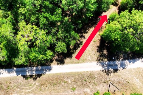 Land in Ocala, Florida № 2162293 - photo 10