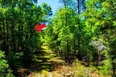Land in Ocala, Florida № 2162293 - photo 11