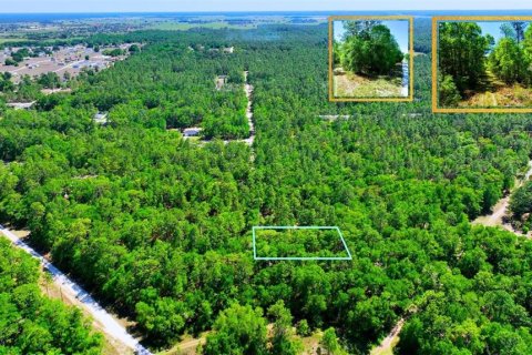 Land in Ocala, Florida № 2162293 - photo 4