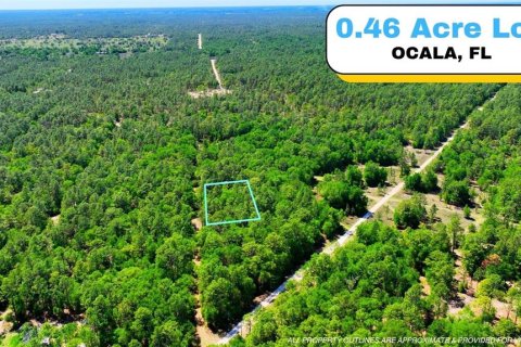 Land in Ocala, Florida № 2162293
