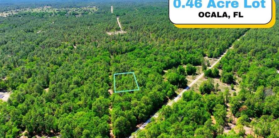 Land in Ocala, Florida № 2162293