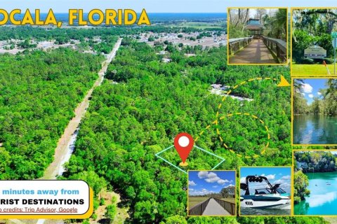 Land in Ocala, Florida № 2162293 - photo 9