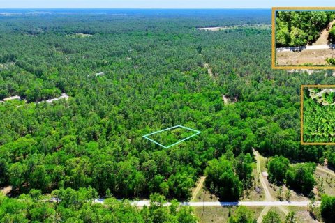 Land in Ocala, Florida № 2162293 - photo 6