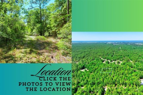 Land in Ocala, Florida № 2162293 - photo 3