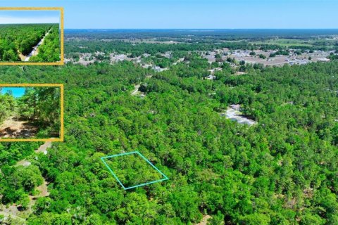 Land in Ocala, Florida № 2162293 - photo 5