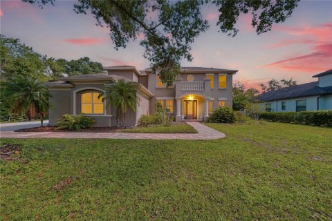 Villa ou maison à Odessa, Floride 5 chambres, 331.75 m2 № 2349542