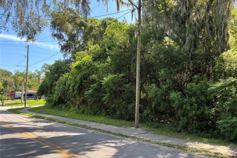Land in DeLand, Florida № 2225788 - photo 6