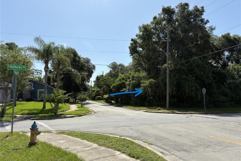 Land in DeLand, Florida № 2225788 - photo 4