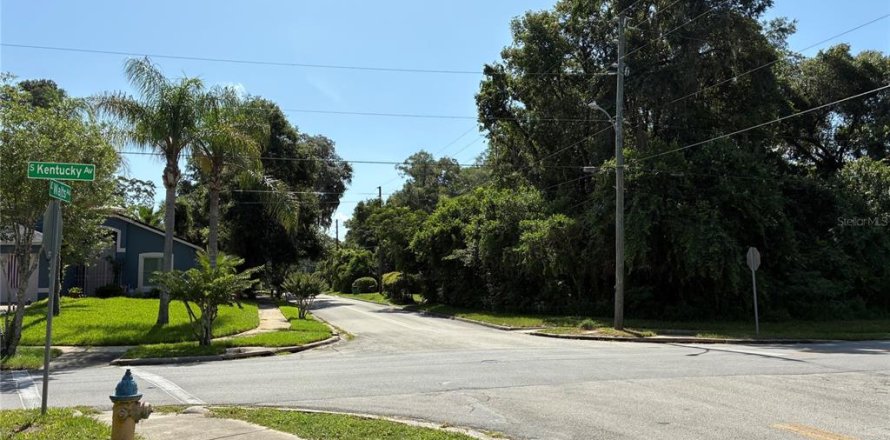 Land in DeLand, Florida № 2225788