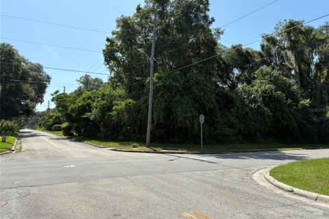 Land in DeLand, Florida № 2225788 - photo 5