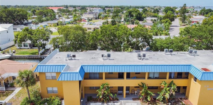 Condo à Dunedin, Floride, 2 chambres № 1910260