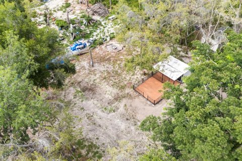 Land in New Port Richey, Florida № 1784892 - photo 11