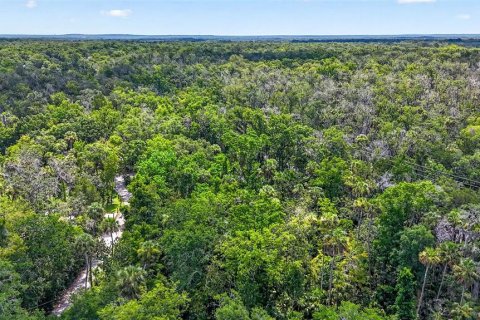 Terrain à vendre à Homosassa, Floride № 2207722 - photo 7