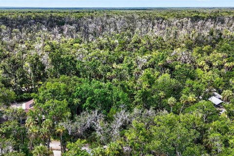 Terrain à vendre à Homosassa, Floride № 2207722 - photo 10