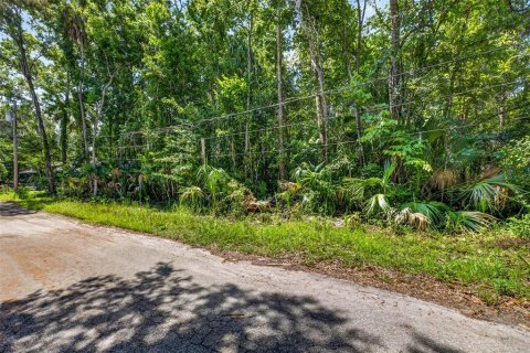 Terrain à vendre à Homosassa, Floride № 2207722 - photo 6