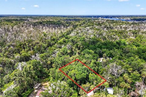 Terrain à Homosassa, Floride № 2207722