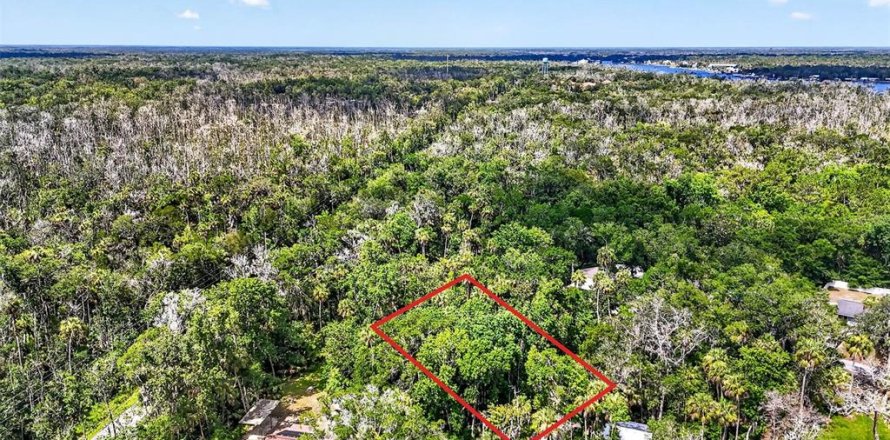 Terrain à Homosassa, Floride № 2207722