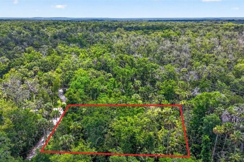 Terrain à vendre à Homosassa, Floride № 2207722 - photo 8