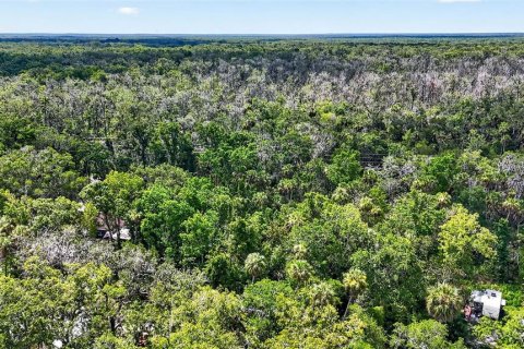 Terrain à vendre à Homosassa, Floride № 2207722 - photo 9