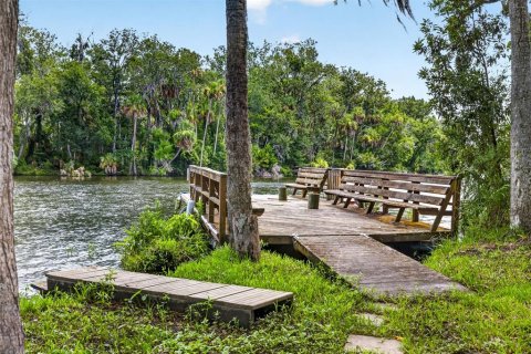 Terrain à vendre à Homosassa, Floride № 2207722 - photo 20