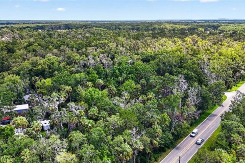 Terrain à vendre à Homosassa, Floride № 2207722 - photo 12