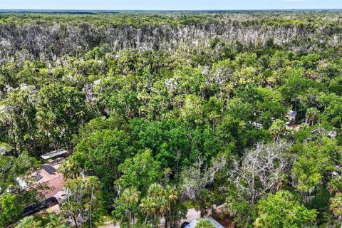 Terrain à vendre à Homosassa, Floride № 2207722 - photo 11