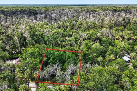 Terrain à vendre à Homosassa, Floride № 2207722 - photo 4