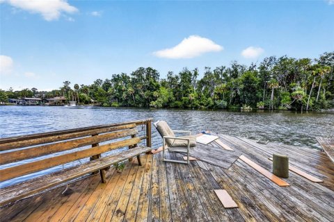 Terrain à vendre à Homosassa, Floride № 2207722 - photo 22