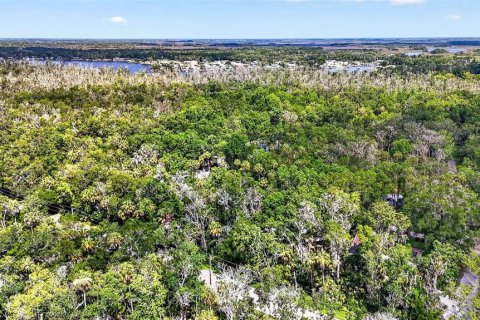 Terrain à vendre à Homosassa, Floride № 2207722 - photo 15
