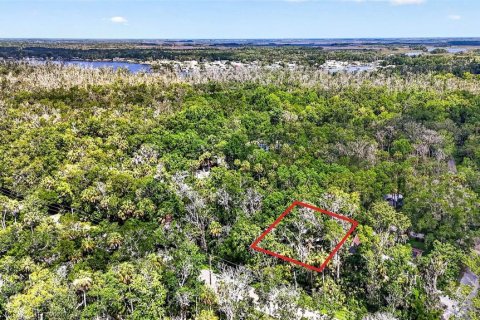 Terrain à vendre à Homosassa, Floride № 2207722 - photo 3