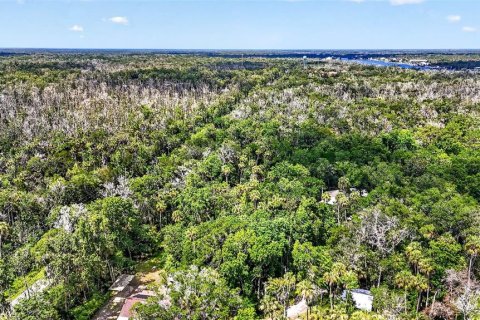 Terrain à vendre à Homosassa, Floride № 2207722 - photo 17