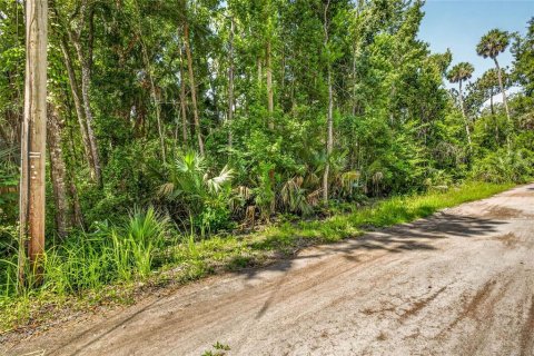 Terrain à vendre à Homosassa, Floride № 2207722 - photo 2