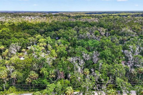 Terrain à vendre à Homosassa, Floride № 2207722 - photo 13