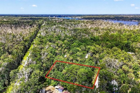 Terrain à vendre à Homosassa, Floride № 2207722 - photo 5