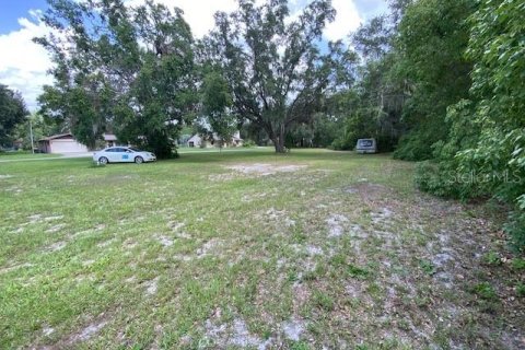 Land in Umatilla, Florida № 1776959 - photo 1