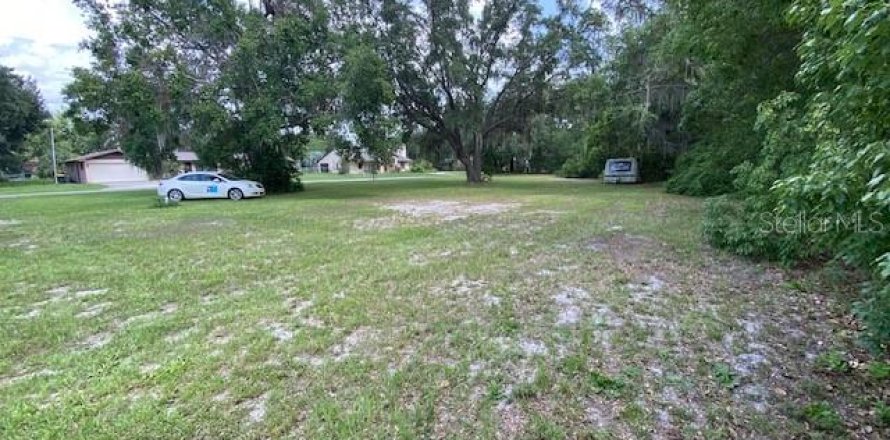 Land in Umatilla, Florida № 1776959