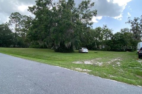 Land in Umatilla, Florida № 1776959 - photo 5