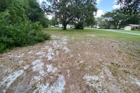 Land in Umatilla, Florida № 1776959 - photo 3