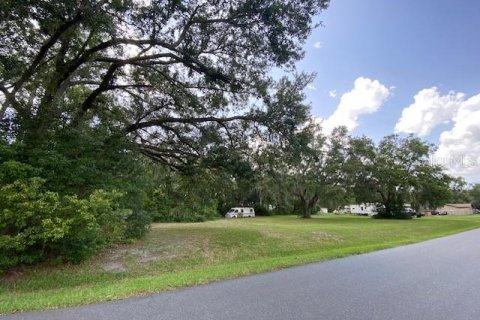 Land in Umatilla, Florida № 1776959 - photo 4