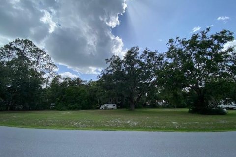 Land in Umatilla, Florida № 1776959 - photo 6