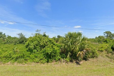 Land in Port Charlotte, Florida № 2386036 - photo 6