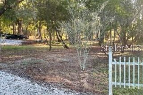 Terreno en venta en Longwood, Florida № 1554073 - foto 2