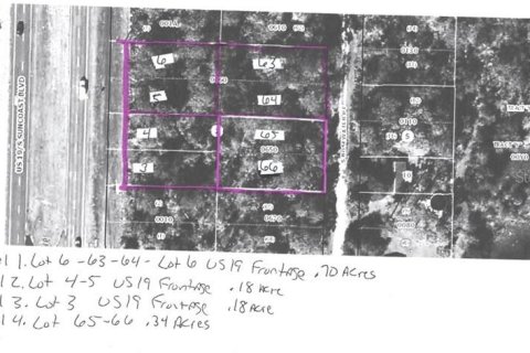 Land in Homosassa, Florida № 2383704 - photo 2